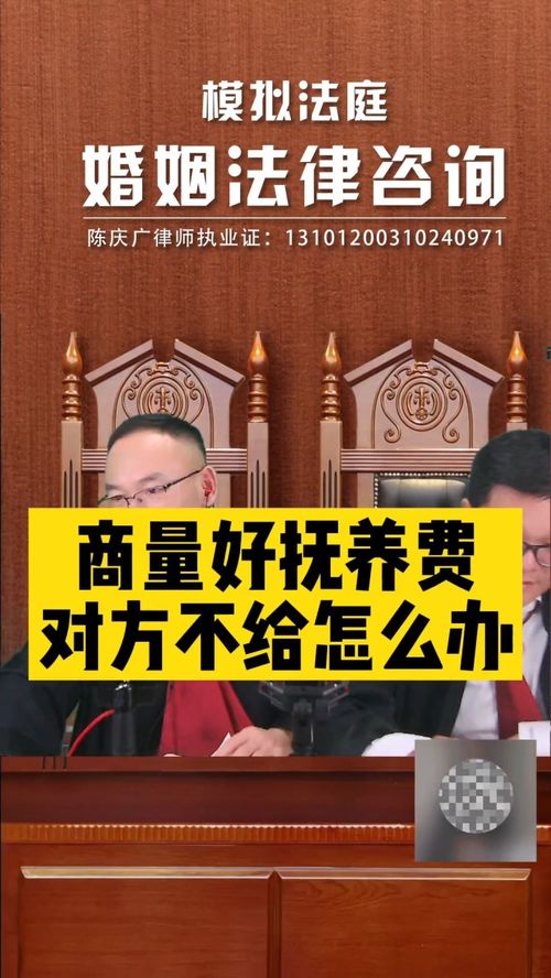 撫養費協商后對方拒不支付，法律途徑如何維權？